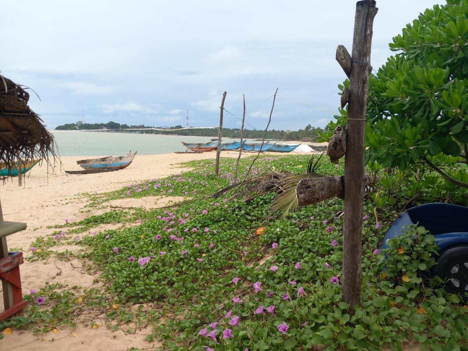 Blue Horizon Beach Hotel Tangalle Buitenkant foto